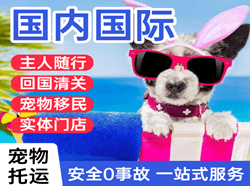 甘孜格萨尔机场快递国际宠物托运 【国